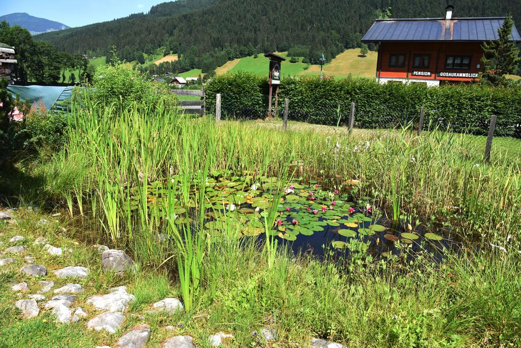 Frühstückspension Pachler Gosau Exterior foto
