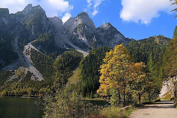 Frühstückspension Pachler Gosau Exterior foto